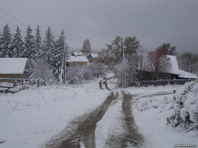 В Пакшеньге первый снег. 11 октября 2014 г.